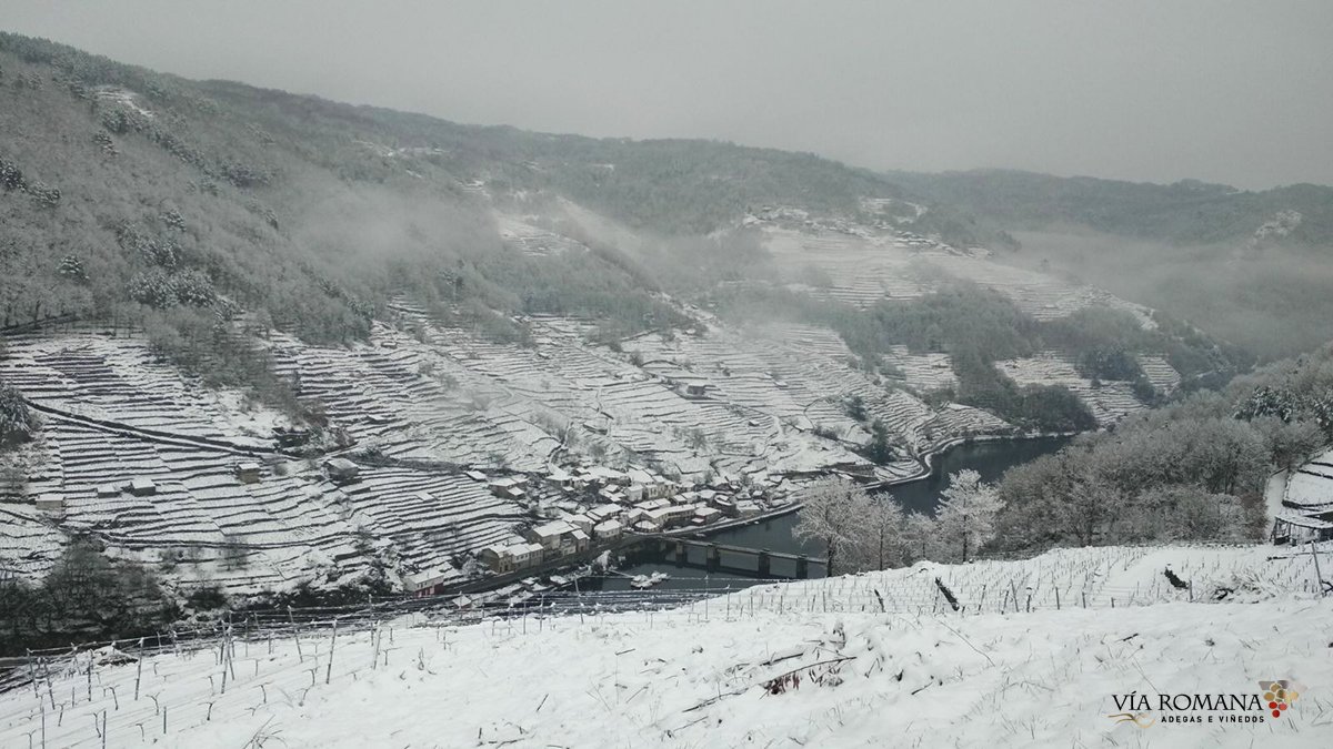 ViaRomana_es's tweet photo. Neve na ribeira, na nosa adega!
Neve nas ribeiras de #Chantada, #RibeiraSacra!
Neve en #Belesar a carón do río #Miño ❄️
Está todo precioso 💙 https://t.co/HSOg3QLOJq
