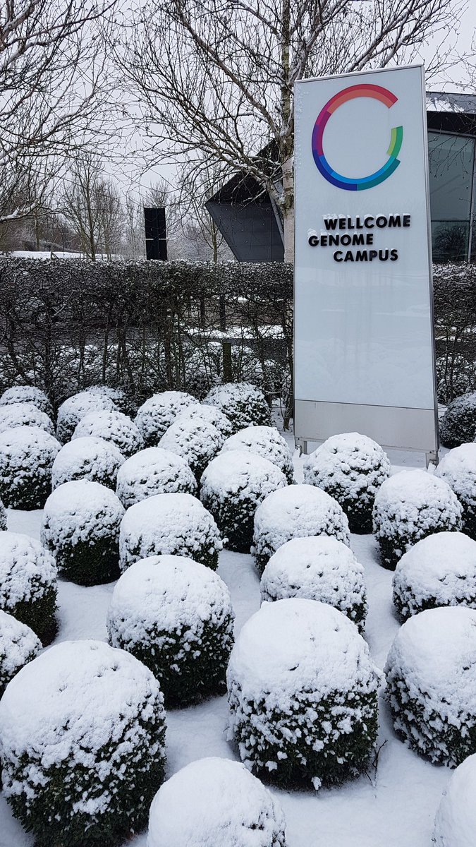 Dr. Rebecca Gladstone tweet media