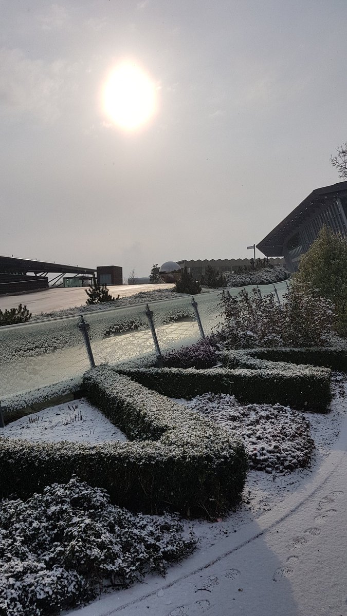 Dr. Rebecca Gladstone tweet media