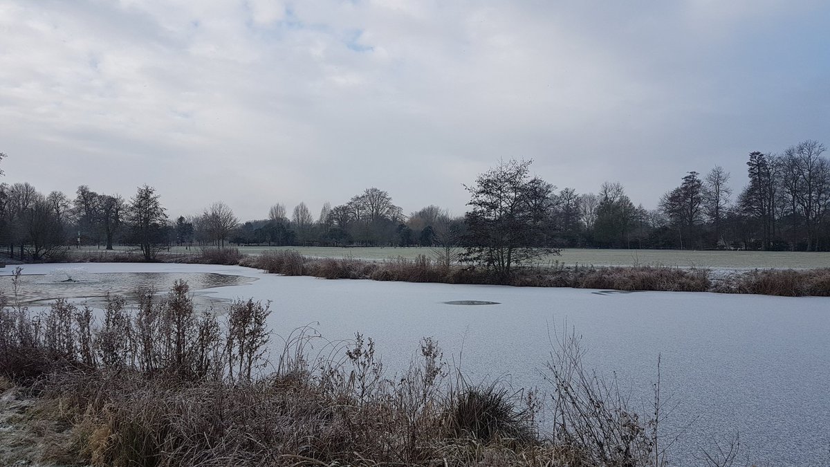 Dr. Rebecca Gladstone tweet media