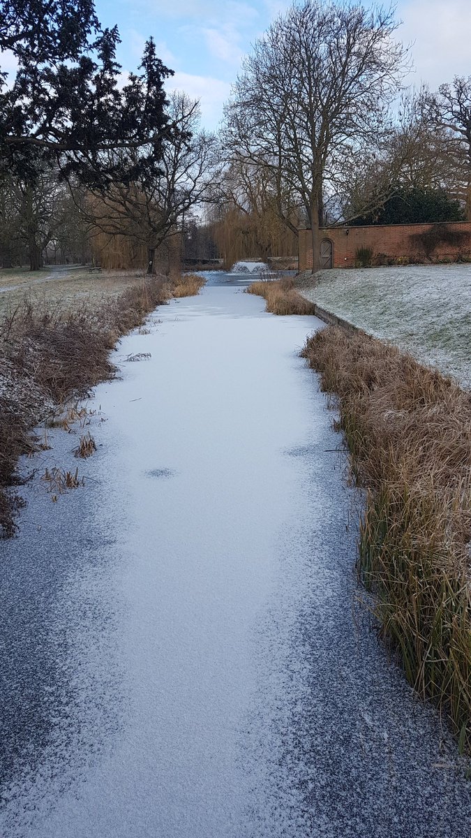 Dr. Rebecca Gladstone tweet media