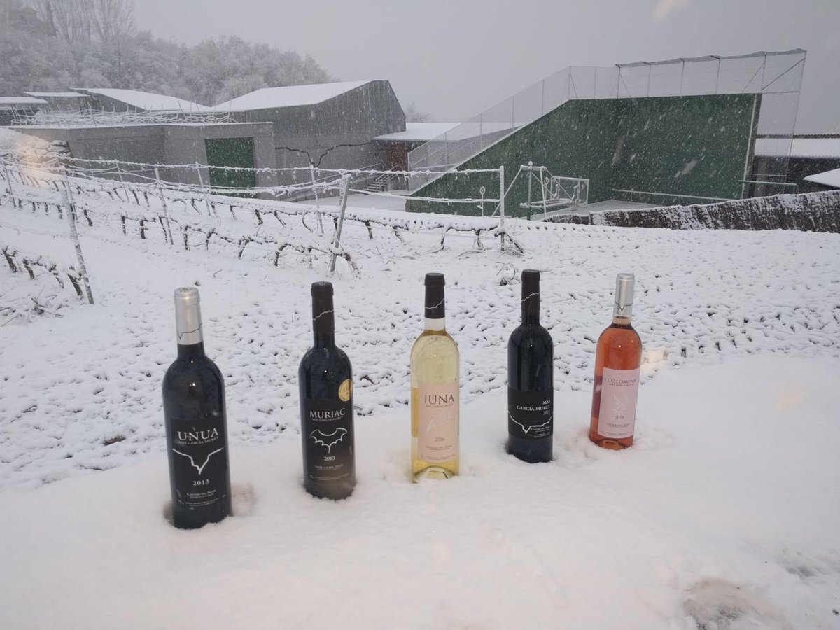 MasGarciaMuret's tweet photo. Bon dia,
Fantàstica neu per les nostres vinyes i propers vins 2018.
Una forta abraçada.🍷🍷🍷🍷🍷 https://t.co/ddwzj4RDI4