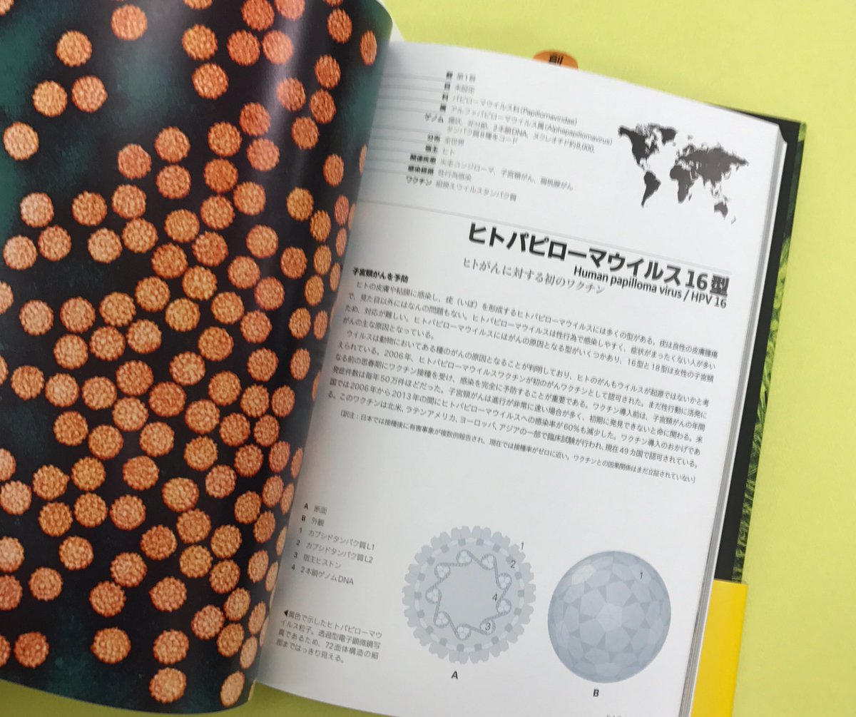 山田崇太郎 Squataro Yamada 年間を通して気の迷いが定期的にありまして今回はウイルス図鑑購入 ヒト単純ヘルペス ウイルス1型や身近にあるウイルスを電子顕微鏡の写真で見られるナイスな本です ウイルス図鑑 読書 趣味 T Co Rz0sq2ajie Twitter