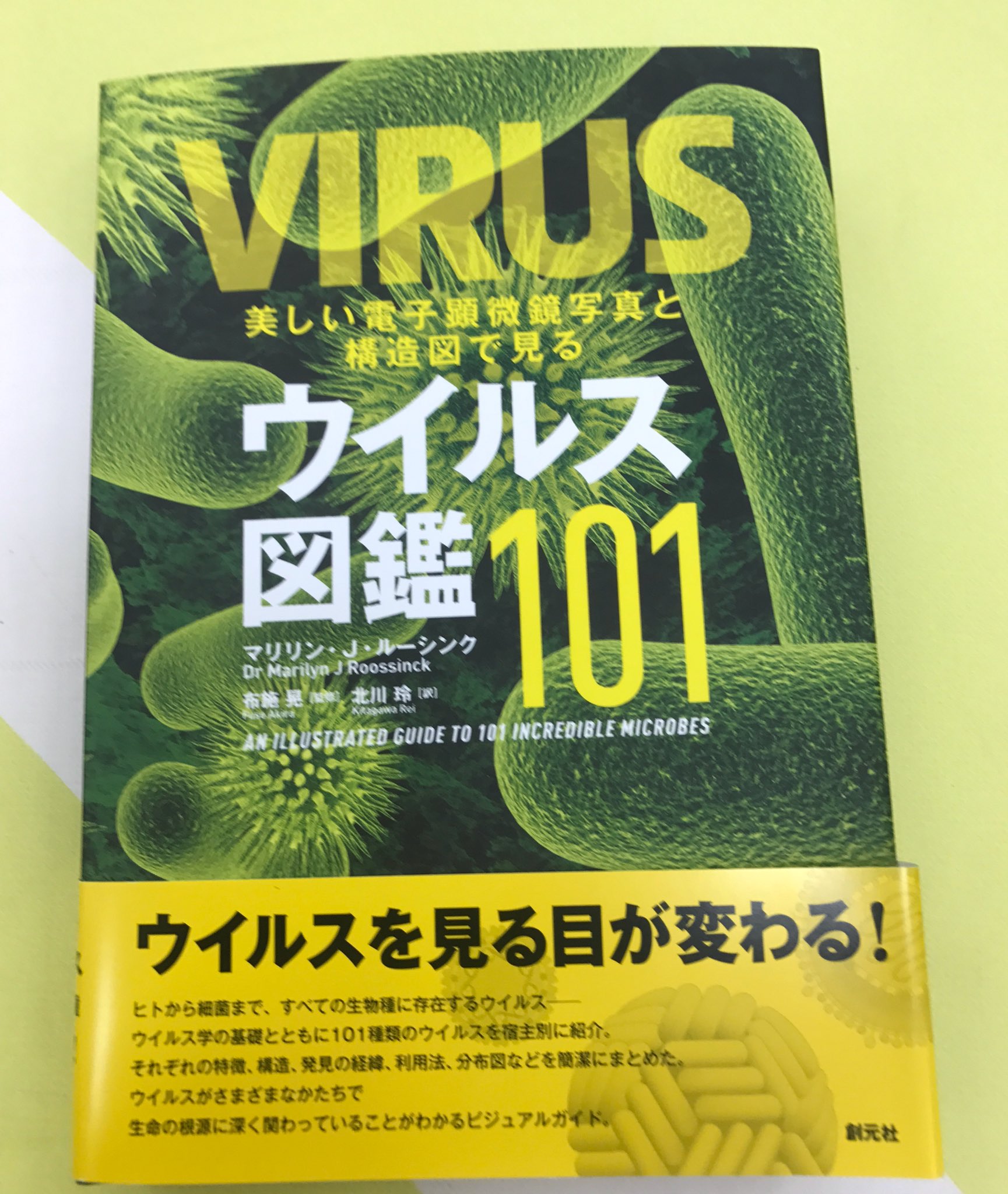 山田崇太郎 Squataro Yamada 年間を通して気の迷いが定期的にありまして今回はウイルス図鑑購入 ヒト単純ヘルペス ウイルス1型や身近にあるウイルスを電子顕微鏡の写真で見られるナイスな本です ウイルス図鑑 読書 趣味 T Co Rz0sq2ajie Twitter