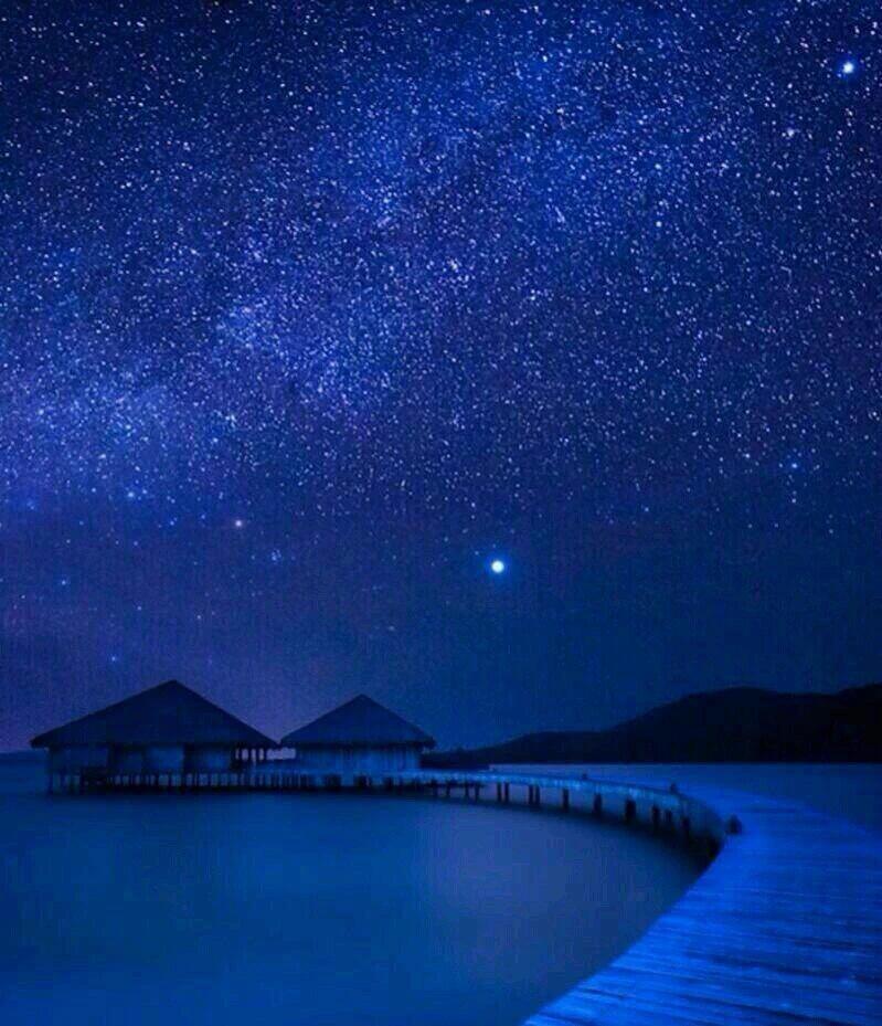 The stars of Bora Bora.