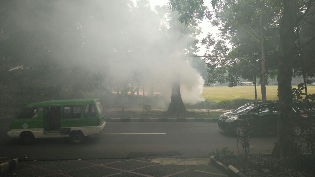 BPbC_UNITY's tweet photo. @aspirasi_bogor  tolong gor pajajaran jangan membakar sampah asapnya sangat mengganggu pengedara dan warga sekitar https://t.co/xMYmNY1Vrw