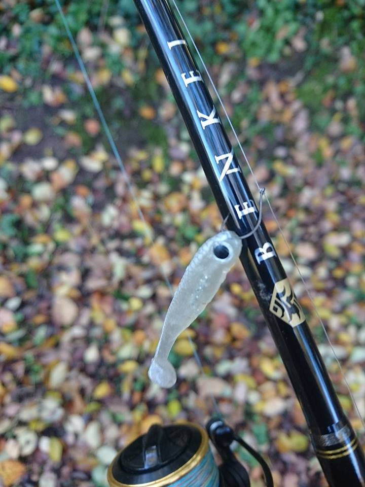 The Nories Inlet Shad is a slim body and real finished softbait...a reliable lure under tough fishing conditions: ow.ly/WCKq30dyWBs  #Ecogear #LureFishing