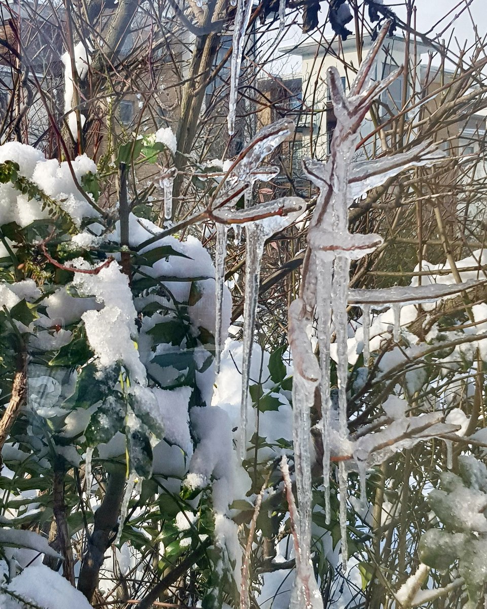 Icicles outside the office today, stay warm everyone! #snow