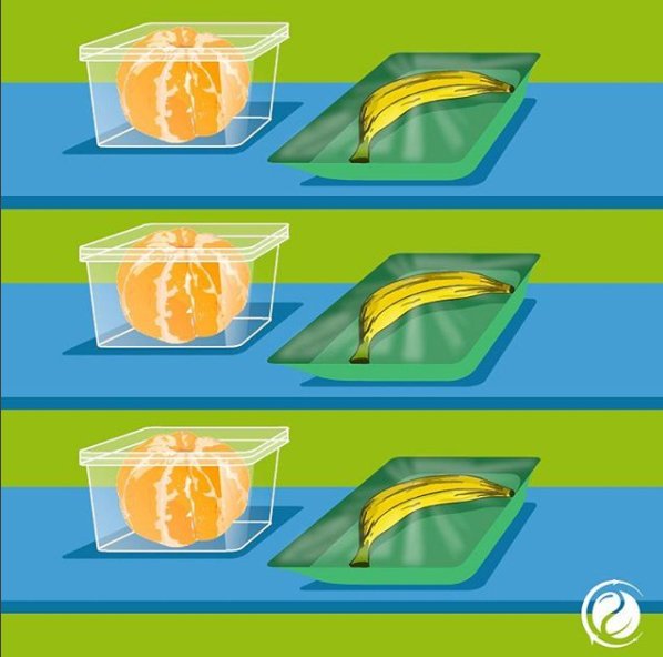 ambienteeuropeo's tweet photo. Si la naturaleza fuera capaz de dotar a estos plátanos y mandarinas de un método de conservación eficaz, no gastaríamos tanto plástico y envases. Ah, no… que ya lo hizo. 🤔🤔🤔 #Desnudalafruta
De nuestros amigos 3BHengsheng @hengshengmx, "Si cambias una mente, cambias al mundo" https://t.co/nAaf0Cq4TP