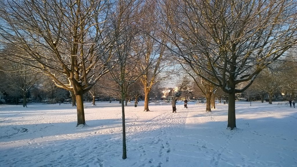 South Park Gardens (Trinity), this morning.