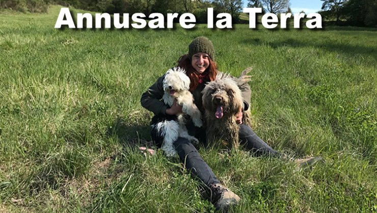 Euganeamente tweet media