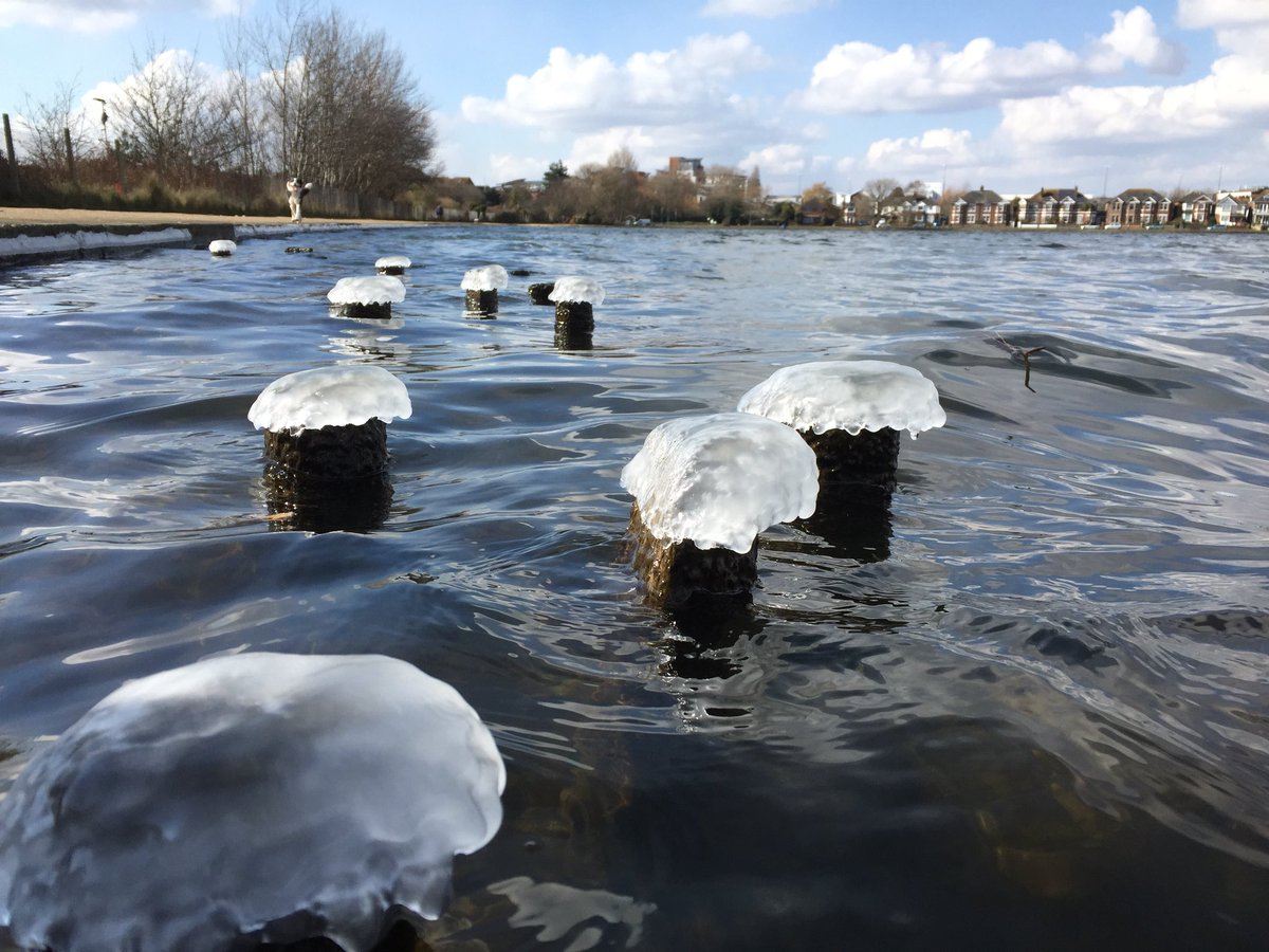 Poole Park ice mushrooms <a href="/Bournemouthecho/">Bournemouth Echo</a>
