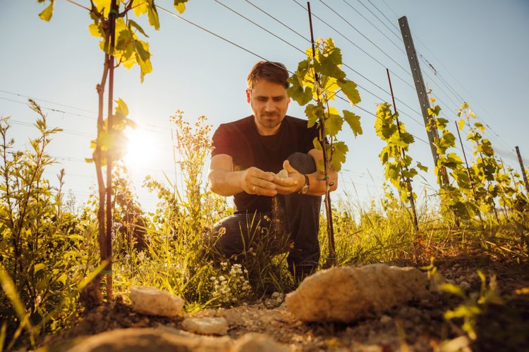 AustrianWineUK's tweet photo. At the #NewOldWorld fair next Monday, you'll get to meet: 

Markus Altenburger – Neusiedlersee

Jutta Ambrositsch - Vienna
 
Sighardt Donabaum - Wachau, 

Christoph Edelbauer - Kamptal

For more info please contact: office@newcomerwines.com
more to come!! https://t.co/SHi9NwkKxw