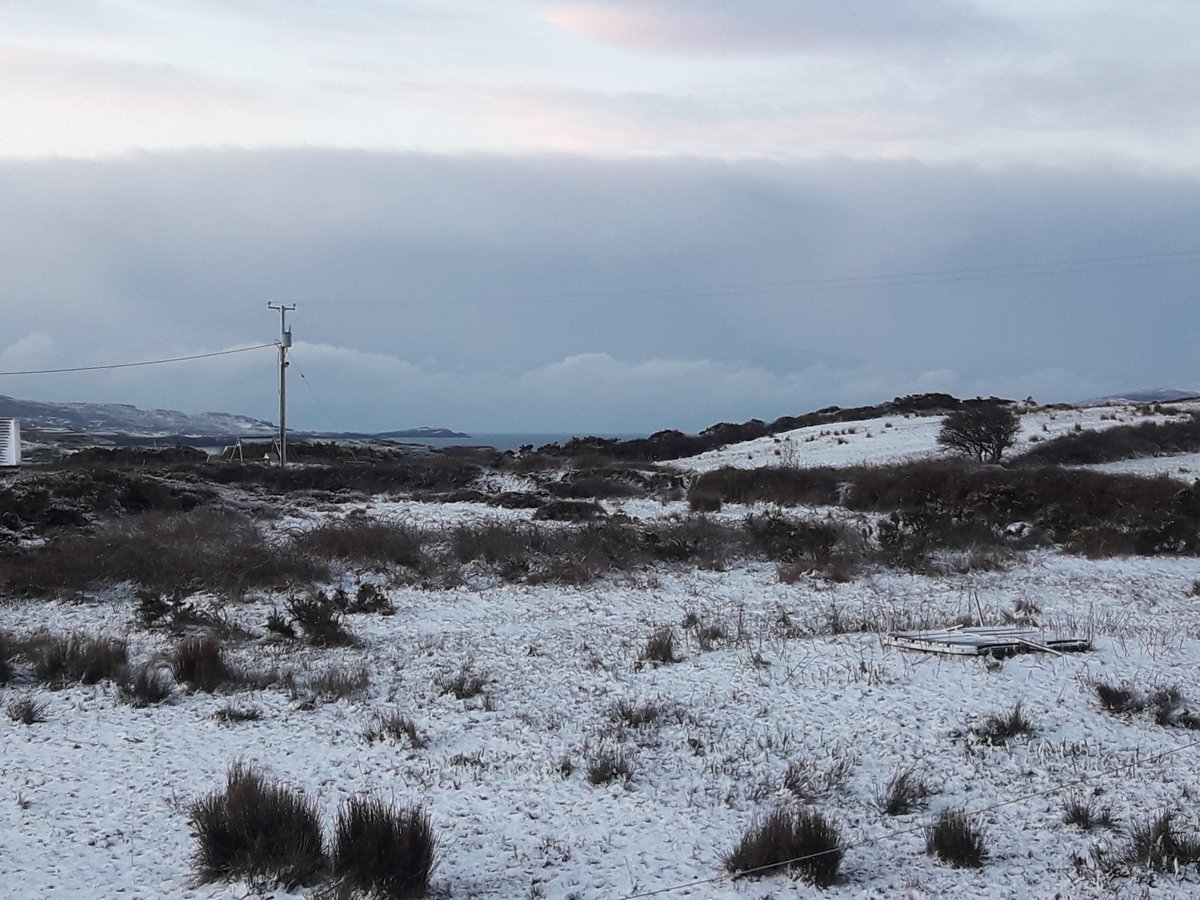 HeirIslandSS's tweet photo. #Snow on #HeirIsland. Looks great in the white! #islandlife #westcorkislands #WildAtlanticWay #sneachta https://t.co/RMrpJgmUUg