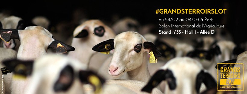 🐄 Salon International de l'Agriculture 🐄

Le département du Lot est présent jusqu'au 4 mars au <a href="/Salondelagri/">Salon International de l'Agriculture</a> ! 😀

Demain matin, <a href="/LotOfSaveurs/">LotOfSaveurs</a> sera à l'honneur sur le stand @TerroirsLot avec la conférence de presse nationale du festival ! 🎥🎙️