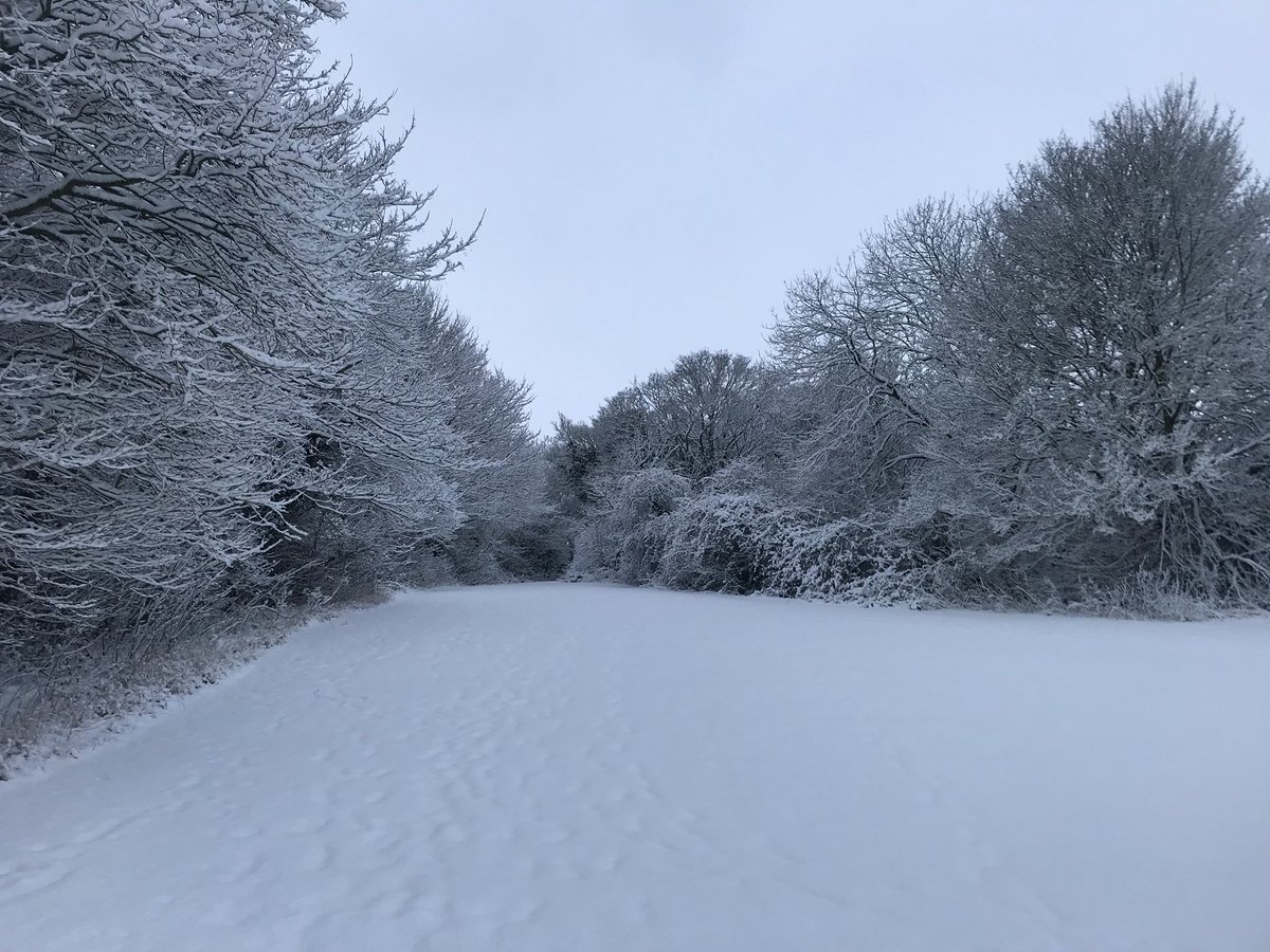 BestOfFram's tweet photo. More views of Framlingham in #Suffolk and #uksnow 🌨🇬🇧 https://t.co/pC9ya1pooF