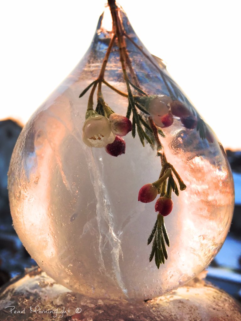 Luftballon, Wasser und Blumen.
Die Bastellstube bei zweistelligen Minusgraden. :)