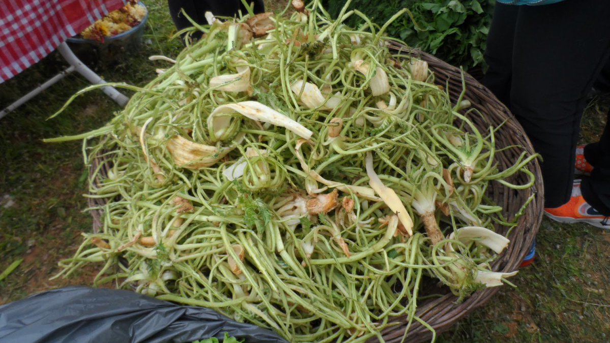 🌿Bodrum'un en kapsamlı ve en lezzetli yöresel festivali...
Bodrum mutfağının eşsiz yöresel lezzetlerini keşfetmeniz için harika bir fırsat…
24-25 Mart 2018 arasında başlıyor! Detaylı bilgi için; aciotfestivali.com

Çıngıloğlu Otantik Peynir Marketi 🧀
📞 0541 319 25 87