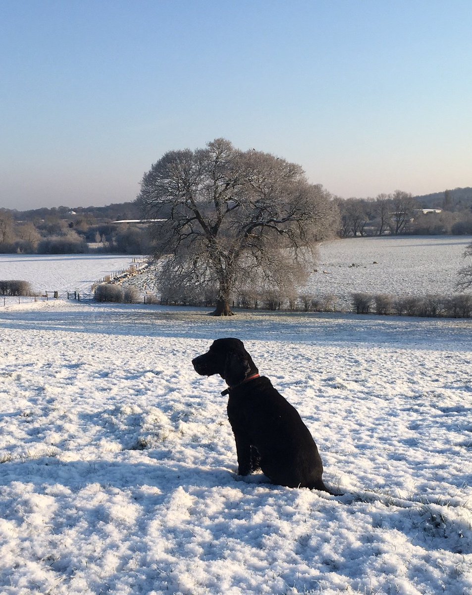 It's a beautiful morning here in the Surrey hills