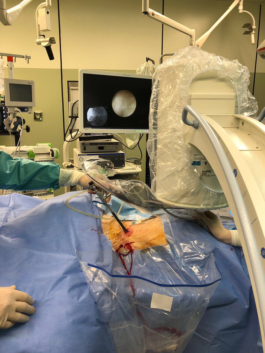 Oriol Angerri tweet media