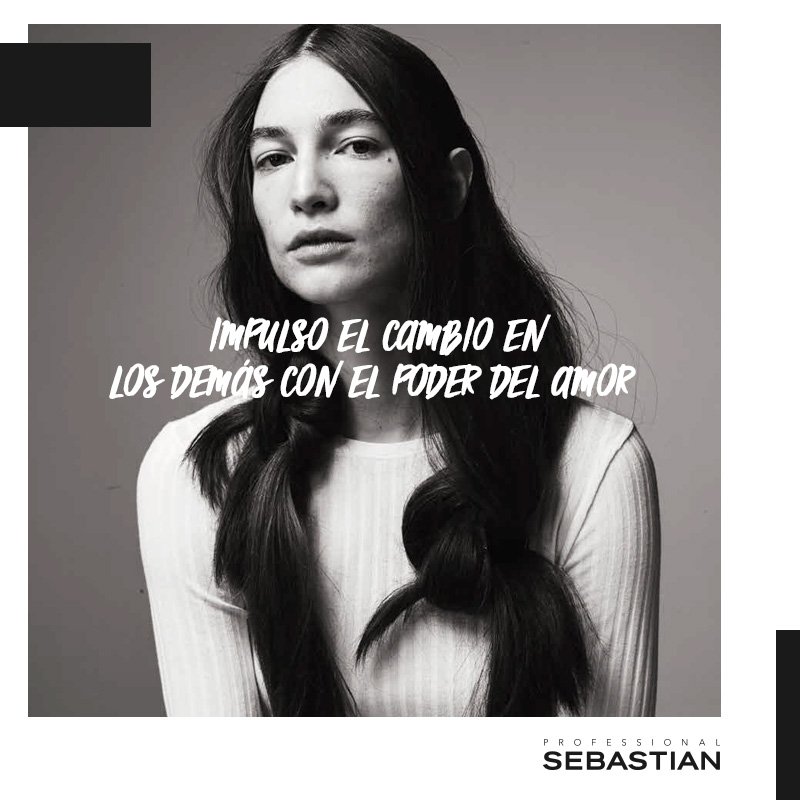 Sebastian Spain tweet media