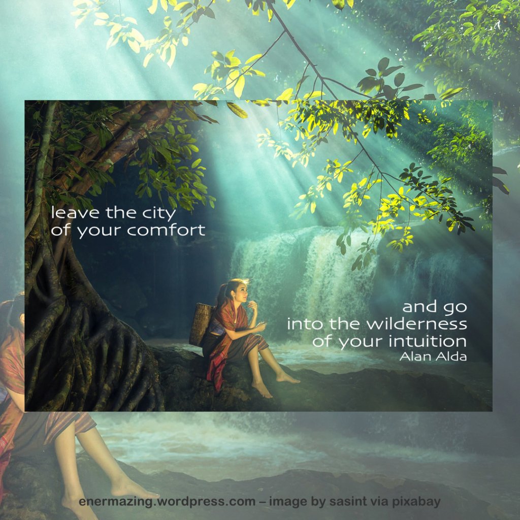 enermazing's tweet photo. Leave the city of your comfort and go into the wilderness of your intuition https://t.co/9ZBcrduups https://t.co/o2eOuOLipD
