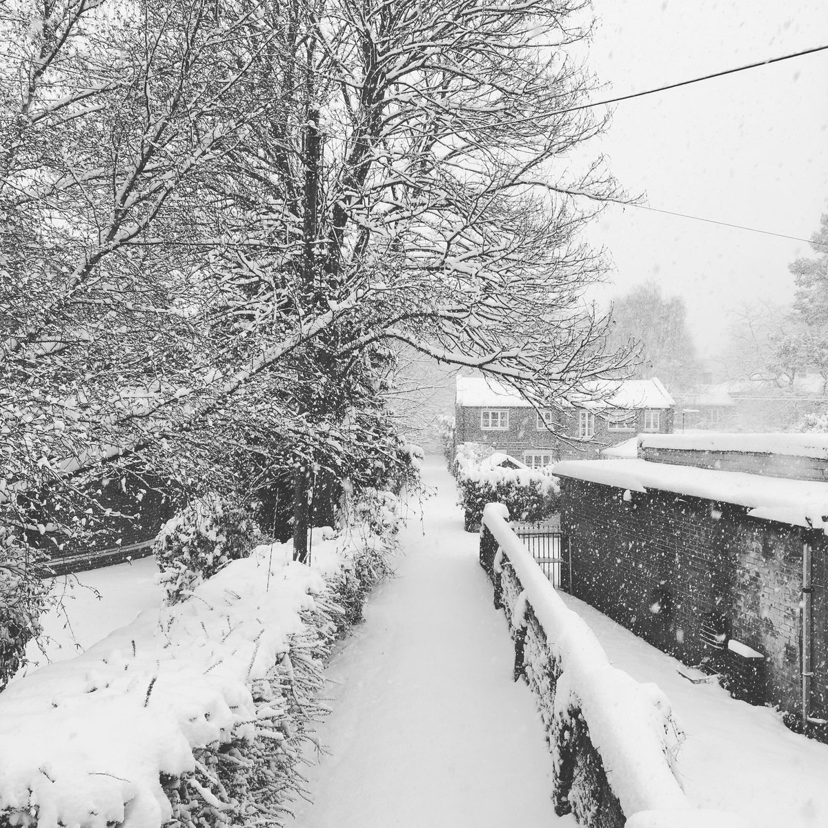 Not sure if this is the view from my office or whether I’ve just come through the wardrobe! #snow