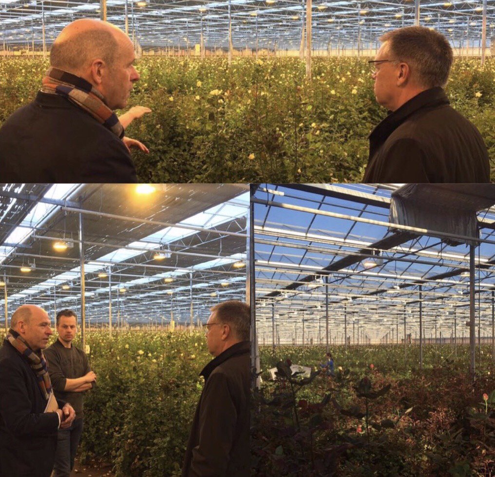 MPSCert's tweet photo. Ken Fisher of @American_Hort visits several Dutch #horticultural companies this week at the invitation of MPS. The international MPS standards can also provide "more profitable #sustainability" in the USA. Today (at the 3rd day) a visit at https://t.co/bBSqs1Br7x @LLTB_Roermond https://t.co/qD87CqTCLk