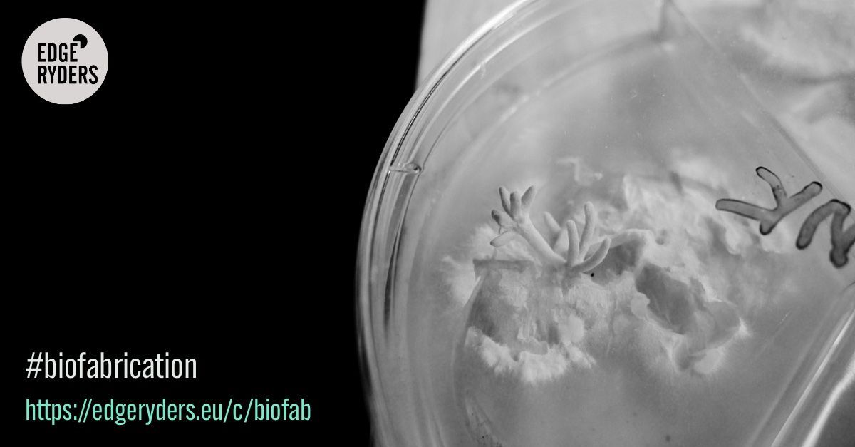 op3ncare's tweet photo. BioFabbers around the globe, feel welcome to join the group and say hello to everyone (including our very own mushroom in residence) https://t.co/GjW7GIX58R

#biofabrication #mycelium #citizenscience #biomaterials https://t.co/0hUF8azLMy