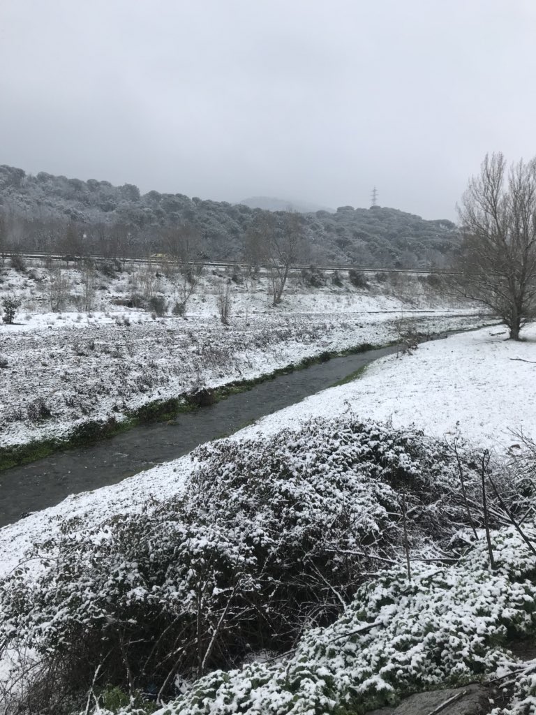 anna11izq's tweet photo. Neu a La Batllòria - Riu Tordera
@TomasMolinaB @AlfredRPico @Monica_Usart @MiriamSBrichs @ajsantceloni #labatlloria #riutordera #vallesoriental #neucat #nevadaTV3 #onneva #324eltemps https://t.co/p4xdydV2V2