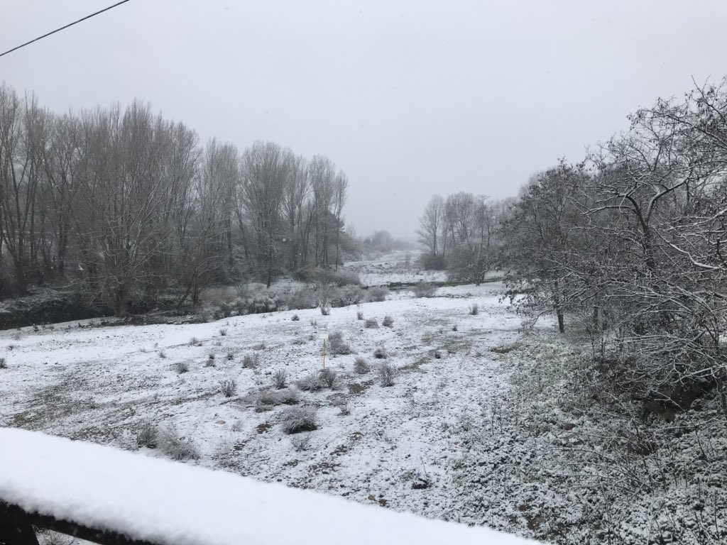 anna11izq's tweet photo. Neu a La Batllòria - Riu Tordera
@TomasMolinaB @AlfredRPico @Monica_Usart @MiriamSBrichs @ajsantceloni #labatlloria #riutordera #vallesoriental #neucat #nevadaTV3 #onneva #324eltemps https://t.co/p4xdydV2V2