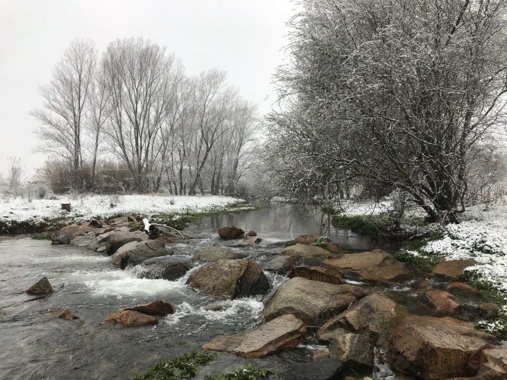 anna11izq's tweet photo. Neu a La Batllòria - Riu Tordera
@TomasMolinaB @AlfredRPico @Monica_Usart @MiriamSBrichs @ajsantceloni #labatlloria #riutordera #vallesoriental #neucat #nevadaTV3 #onneva #324eltemps https://t.co/p4xdydV2V2