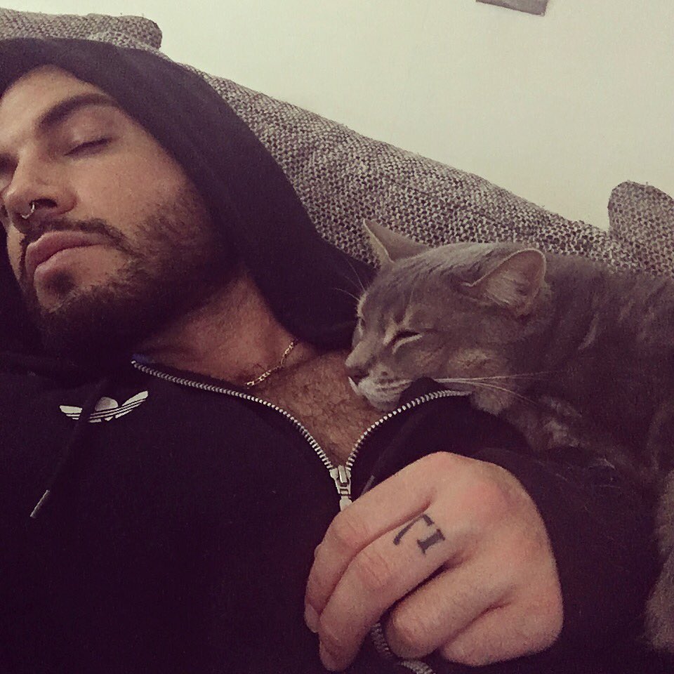 {Snoozing with Artemis.}