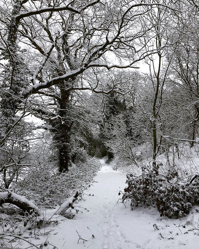 BritDoesVintage's tweet photo. It’s a cold one! Brrrrrrrrr! #britaindoesvintage #beastfromtheeast #snow https://t.co/6PqodPEQqM https://t.co/jZ8O7AwZ0i