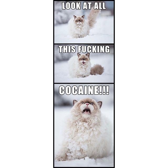 Cocaine 👀 #snowday
