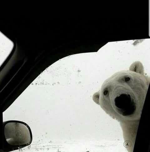 MrsJacksonMusic's tweet photo. Was awful trying to get off my drive this morning.... #snowday2018 https://t.co/u64smqNNsf