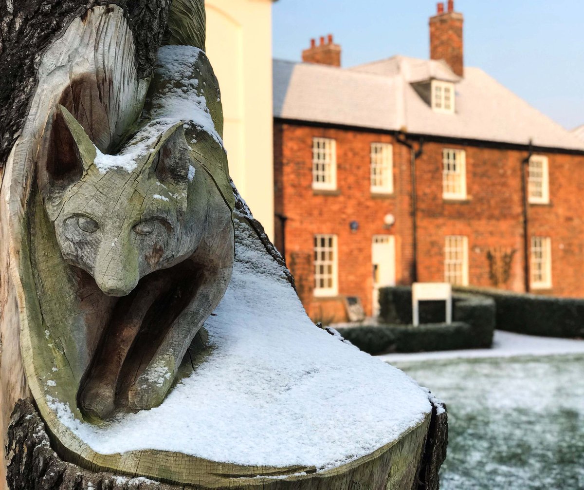 Not enough #snow to make angels, but we did find a snowfox on campus today...