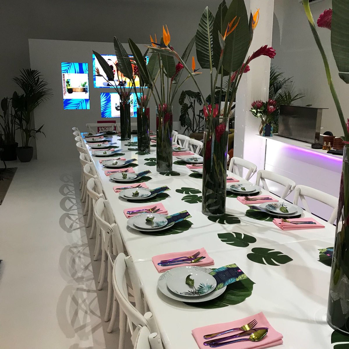 verynetwork's tweet photo. All the tropical vibes this morning at our #VeryHomeHS18 event 🌴 https://t.co/QpwpB55g4q