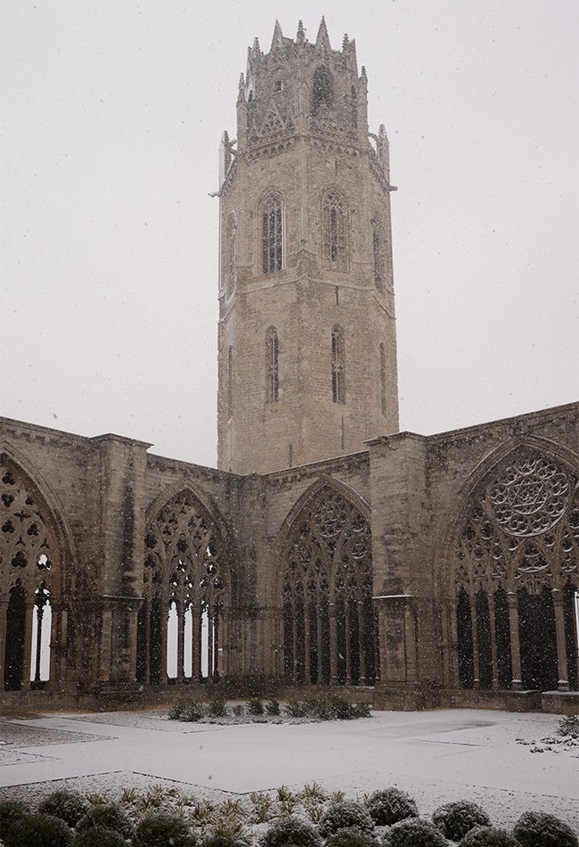 TuroSeuVella's tweet photo. Una imatge preciosa, però singular per poc habitual: la #SeuVella de #Lleida coberta de neu.
Véns a gaudir-ne?
Fotografia: Antoni Benavente (CTSVL) https://t.co/XKJ3oNyCHf
