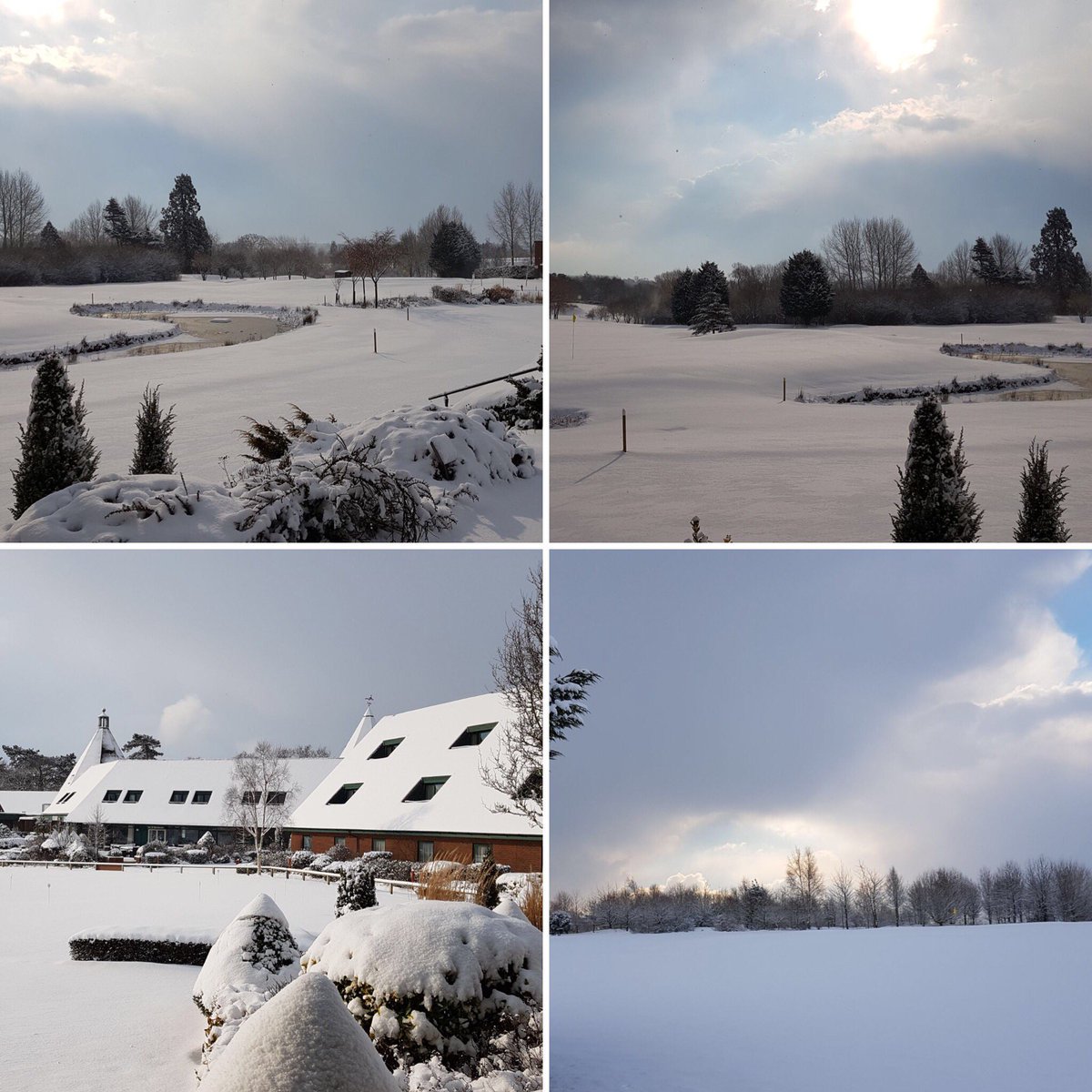 UFFORD PARK WOODBRIDGE tweet media