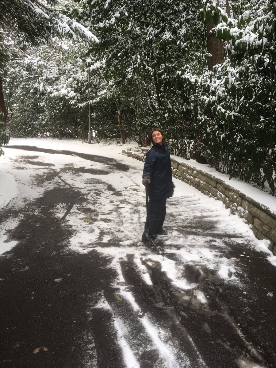 plant_stuart's tweet photo. Phoenix staff on departments this morning helping to clear the snow at Sheffield adult service as part of the experiential TC training week @PhoenixFutures1 https://t.co/iVSLr1dtZn