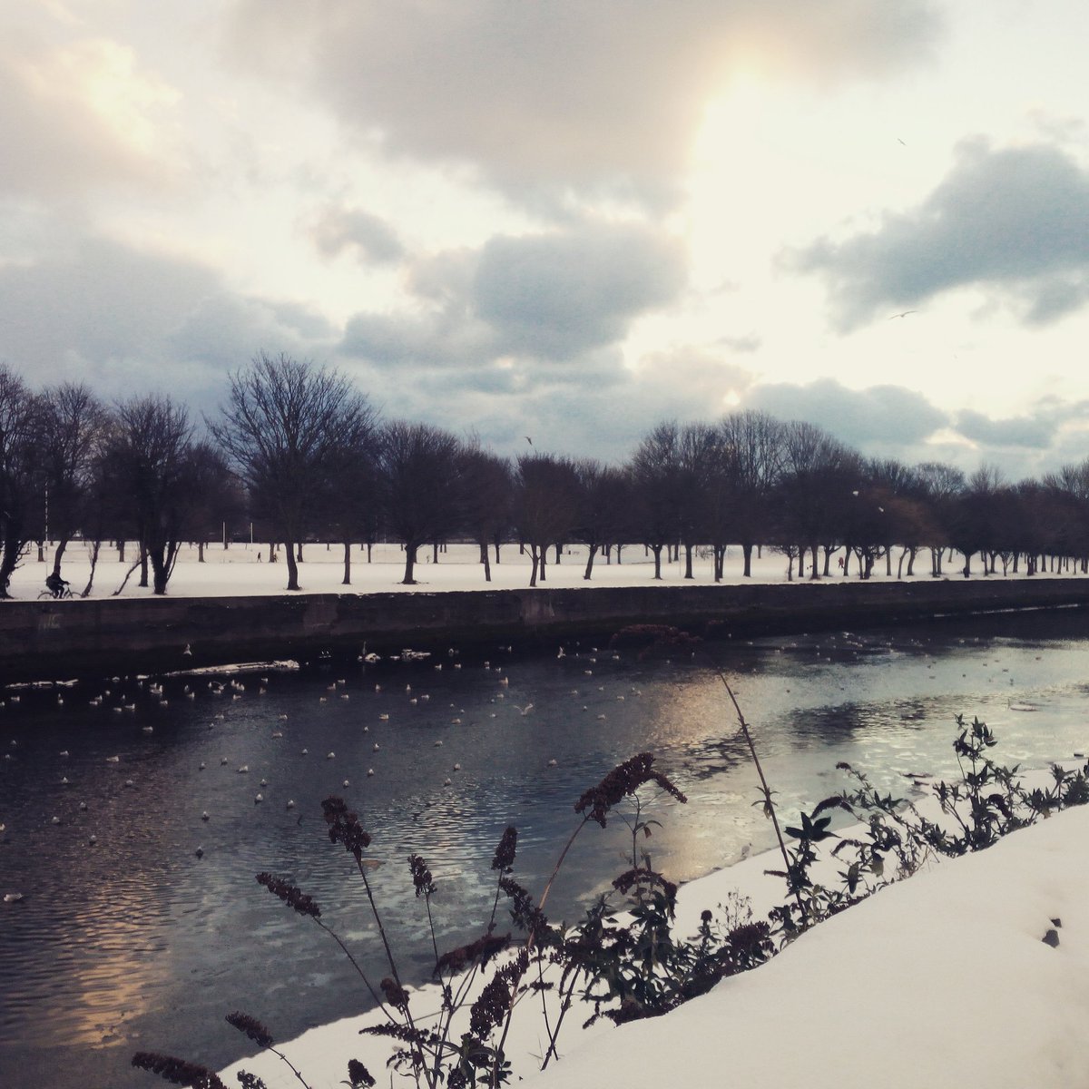 ClockworkLisa's tweet image. #Dublin  #snowday #Ireland  #dublinsnow #Weather