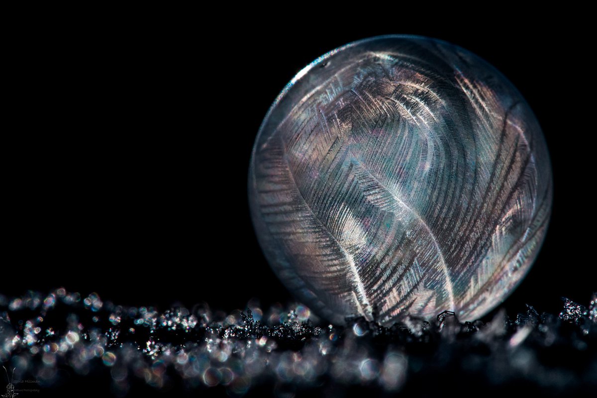 NatureArtVic's tweet image. Turns out it just wasn't cold enough and too windy for frozen bubbles this morning so here's one from last year when it was -8 and still.  I won't be giving up though with snow forecast later in the week. #frozen #frozenbubble #icebubble #winter @AP_Magazine @ukphotoshow