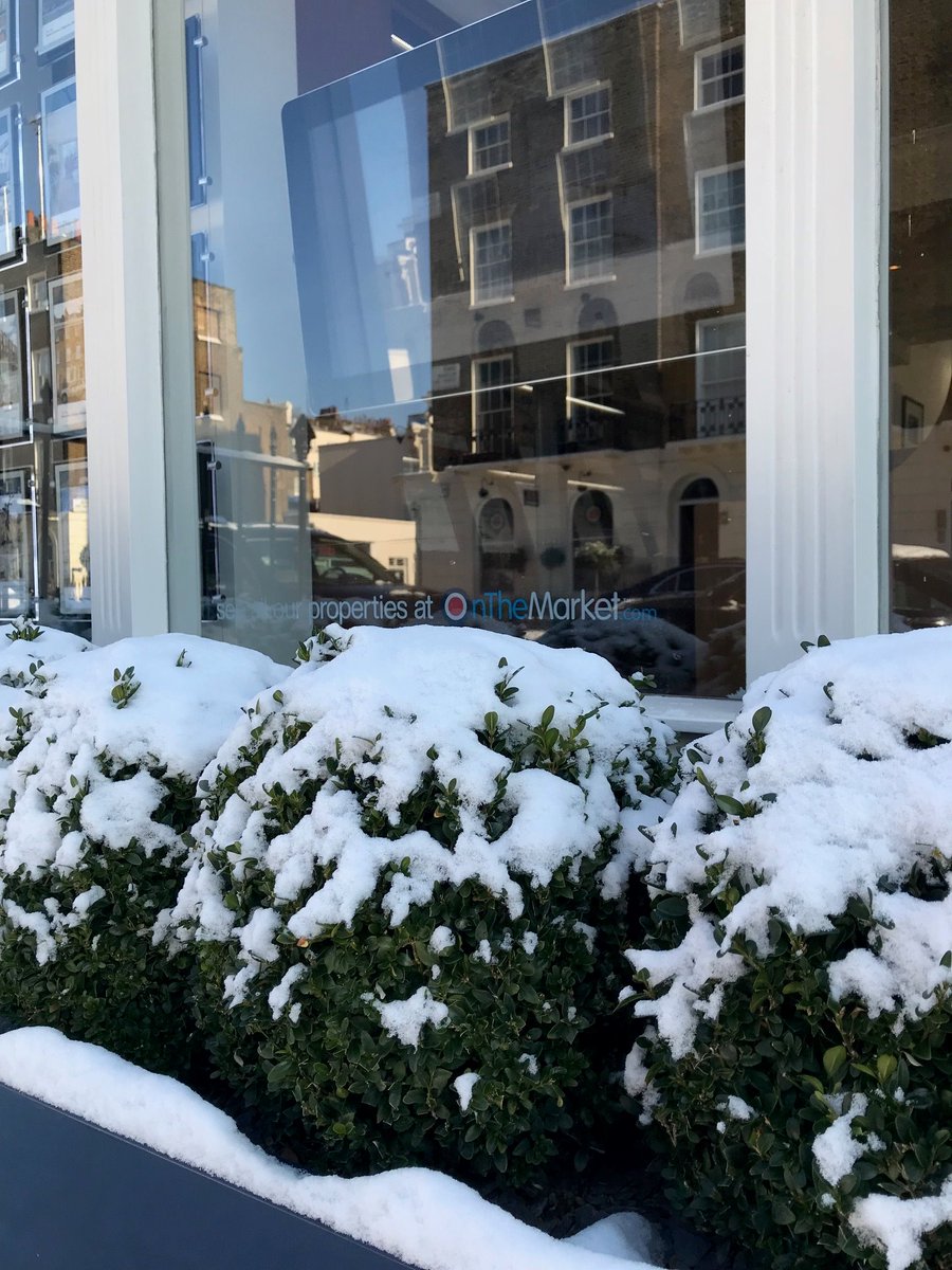 Ayrton Wylie tweet media