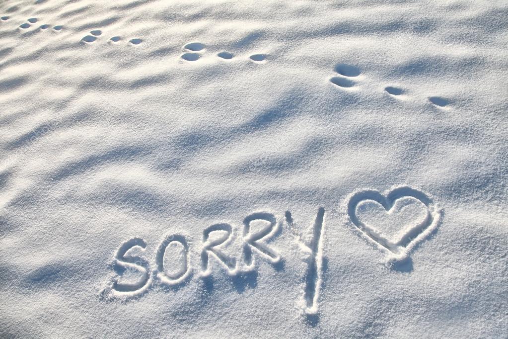 TitonDirect's tweet photo. Due to continuing adverse weather conditions, we are closed today. Please contact us by email: https://t.co/8WqzkAGWO6 and we will endeavour to respond asap. Any orders placed online today will be processed tomorrow, weather permitting. Apologies for any inconvenience caused. https://t.co/3c6LuSZfyW