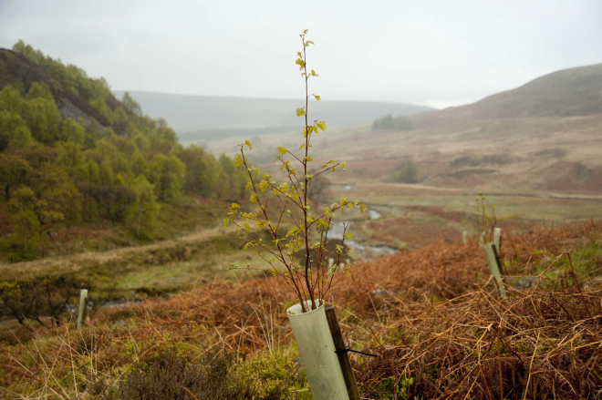 Forestry Commission tweet media