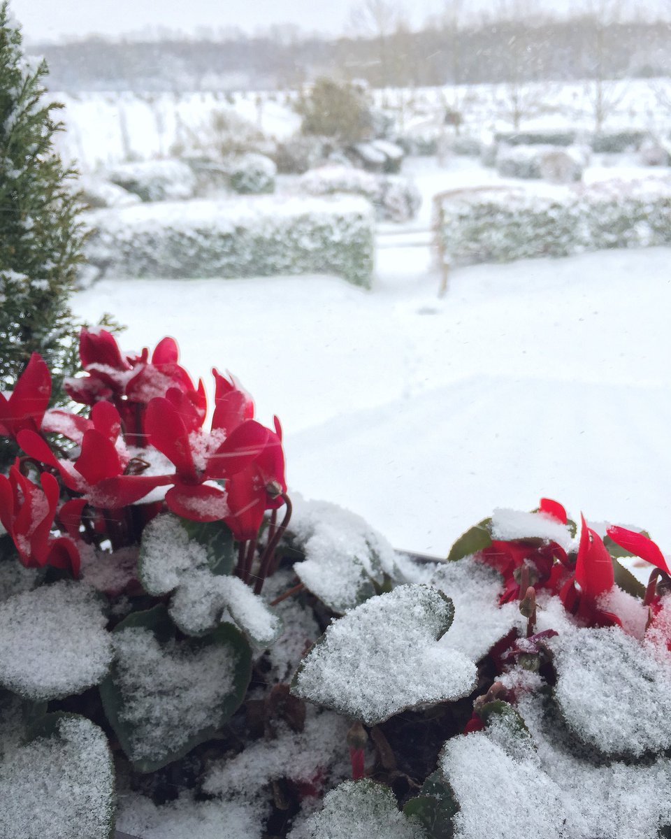 DomainedeBassi's tweet image. ❄️☃️ NEIGE ☃️❄️
❄️ #hotel #bidart #bassilour #domainebassilour #domainedebassilour #hoteldecharme #hotelbidart #bidarttourisme #bidartpaysbasque #bidartcotebasque #biarritzpaysbasque #paysbasque #weekend #vacances #holiday #winter #snow #enmodebasque #biarritzpaysbasque