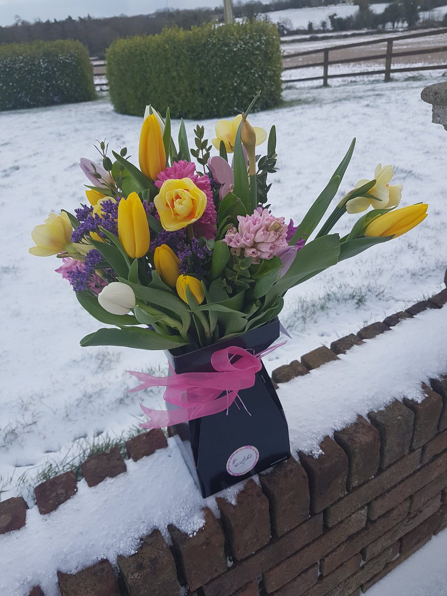 listokeflowers's tweet photo. Did someone mention snow ββπ€π€π€#beastinthenortheast #spring #snow #springinthesnow #springflowers https://t.co/xitoE2U53P