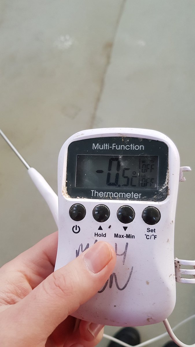 LallyBrews's tweet image. Thinking warm thoughts and playing calypso music in the brewery today. #ThinkYourselfWarm #ItsNotWorking #SendTea