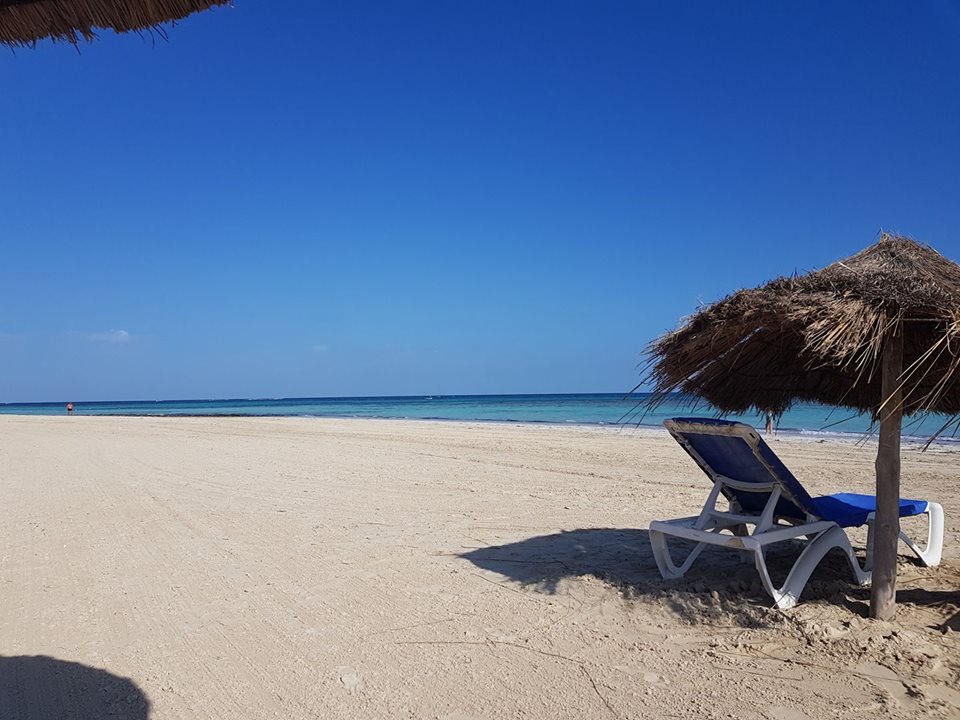 HolidayconcDjb's tweet photo. Magnifique journée ensoleillée ( 19°C )  
Venez nous rejoindre au paradis  
Schöner sonniger Tag  ( 19°C )  
Machen Sie Urlaub bei uns https://t.co/BGbCgW24rE